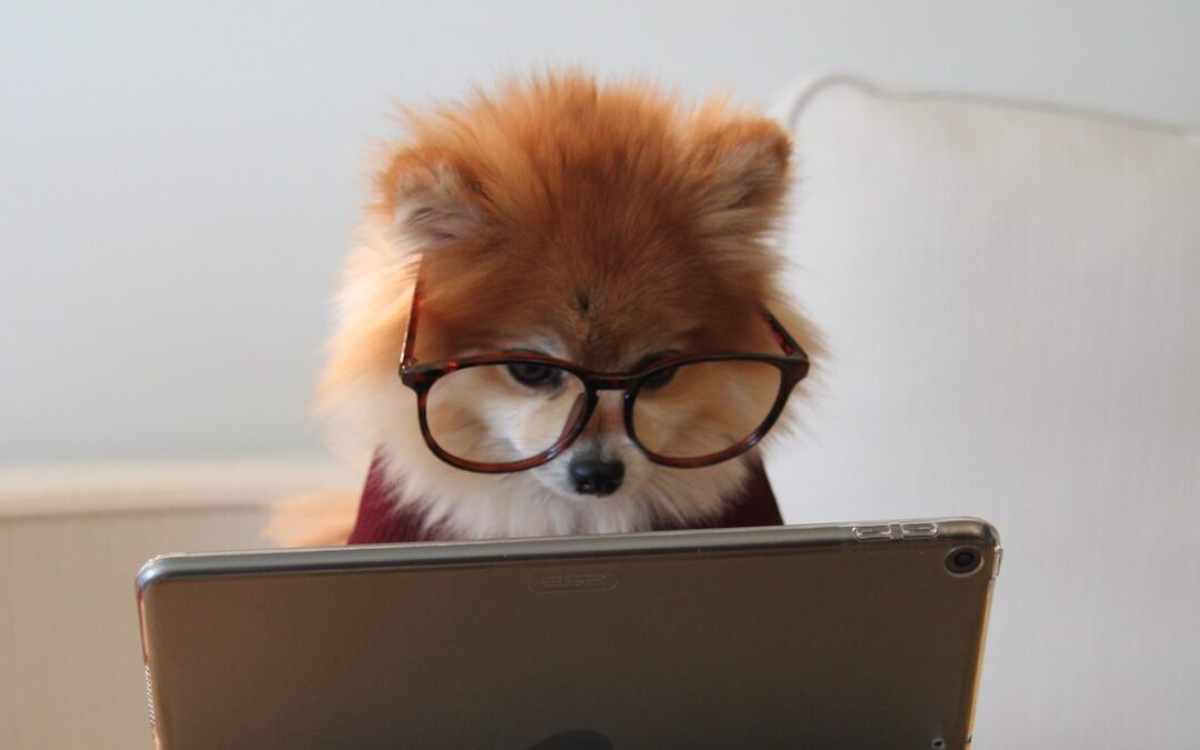 5 Kinds of Content That AI Can’t Write For You